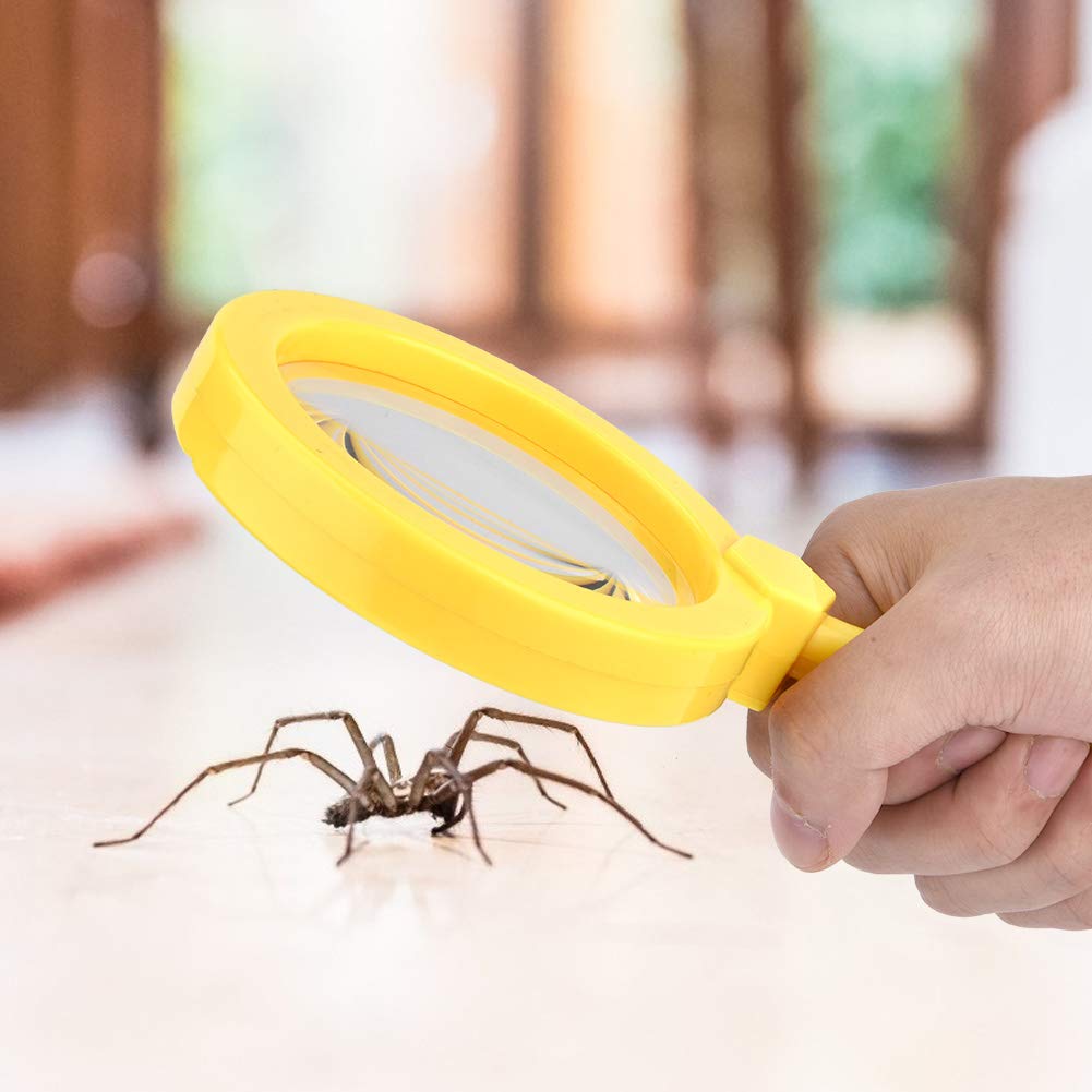 GLOGLOW Kids Magnifying Glass with Stand, Plastic Educational Science Tool for Insect Observation, 8.1x4.4 Inches Kids Magnifying Glass with Stand, 3X Magnification, Nan Household Daily