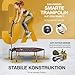 Sportstech HTX100 Trampolin, klappbar | Deutsche Qualitätsmarke | Fitness Trampolin mit Haltegriff | Indoor Jumping für Kinder und Erwachsene | TÜV/GS, Sprungzähler, APP (HTX100)