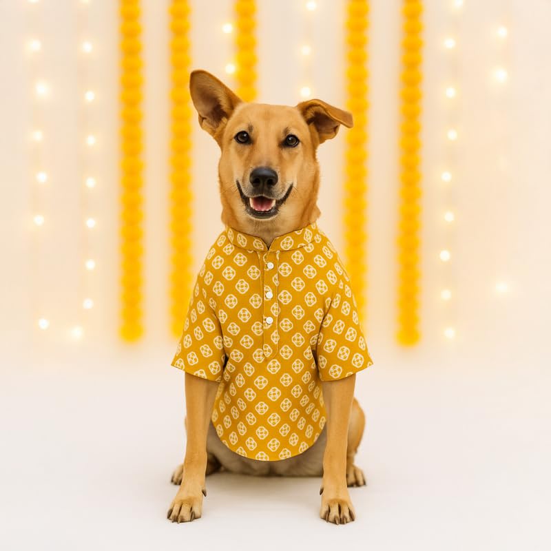Image of Thunder Tails Soft Cotton Dog Kurta for Small Dogs & Puppies | Comfortable Traditional Pet Wear for Pekingese, Maltese & Mini Breeds | Ethnic Outfit Festivals (Mustard, Small)