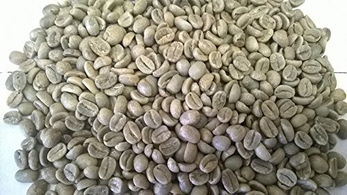 1 lb Bolivia Organic Extra Uchumachi Café en Grano miniatura 2
