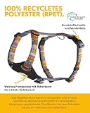 Woolly Wolf Nightless Night Dog Harness S - Hundegeschirr für kleine Hunde aus recyceltem Polyester, Perfekte Passform und Reflektoren für erhöhte Sichtbarkeit