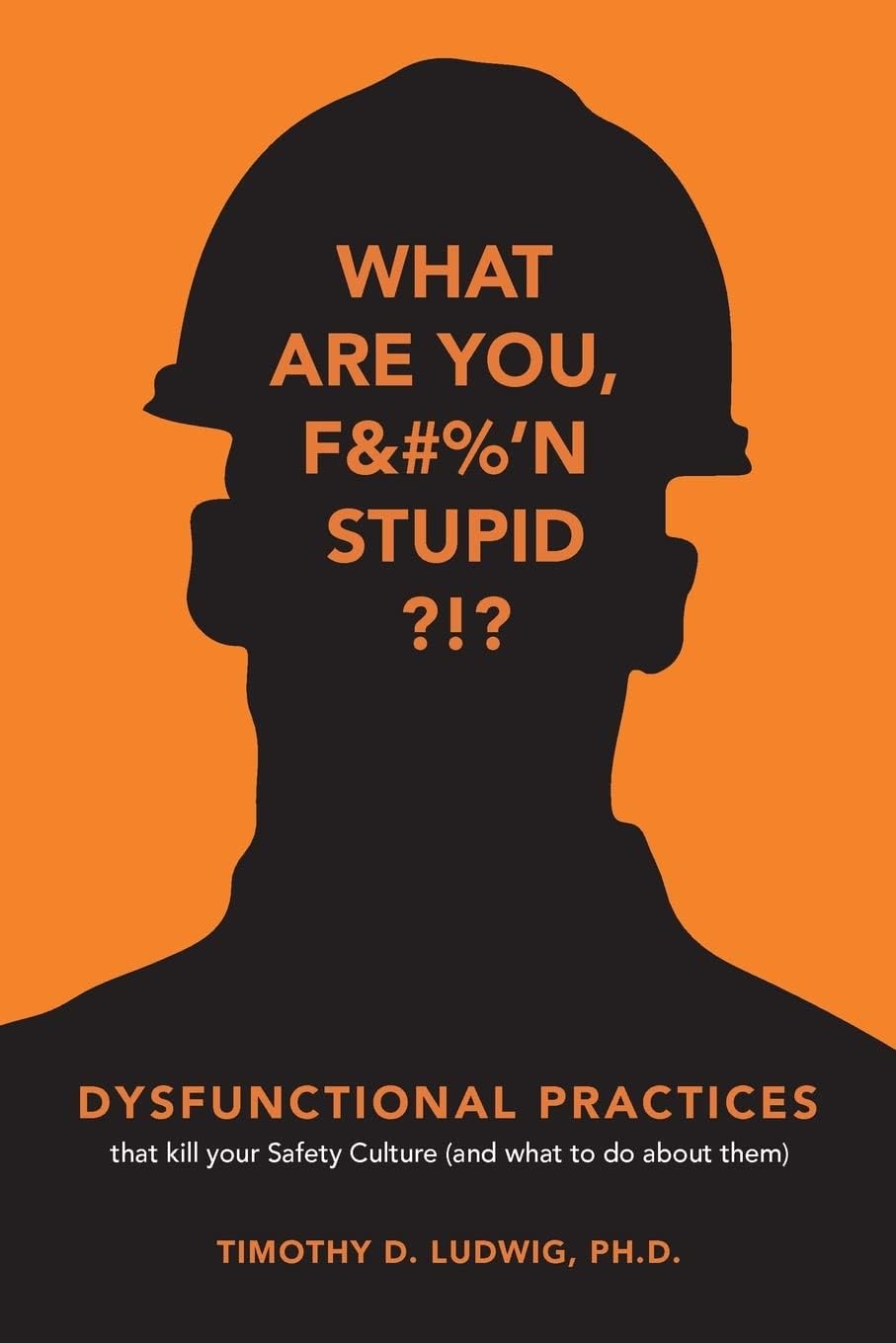 Dysfunctional Practices: that kill your Safety Culture (and what to do about them) Paperback – 30 Jan. 2018
