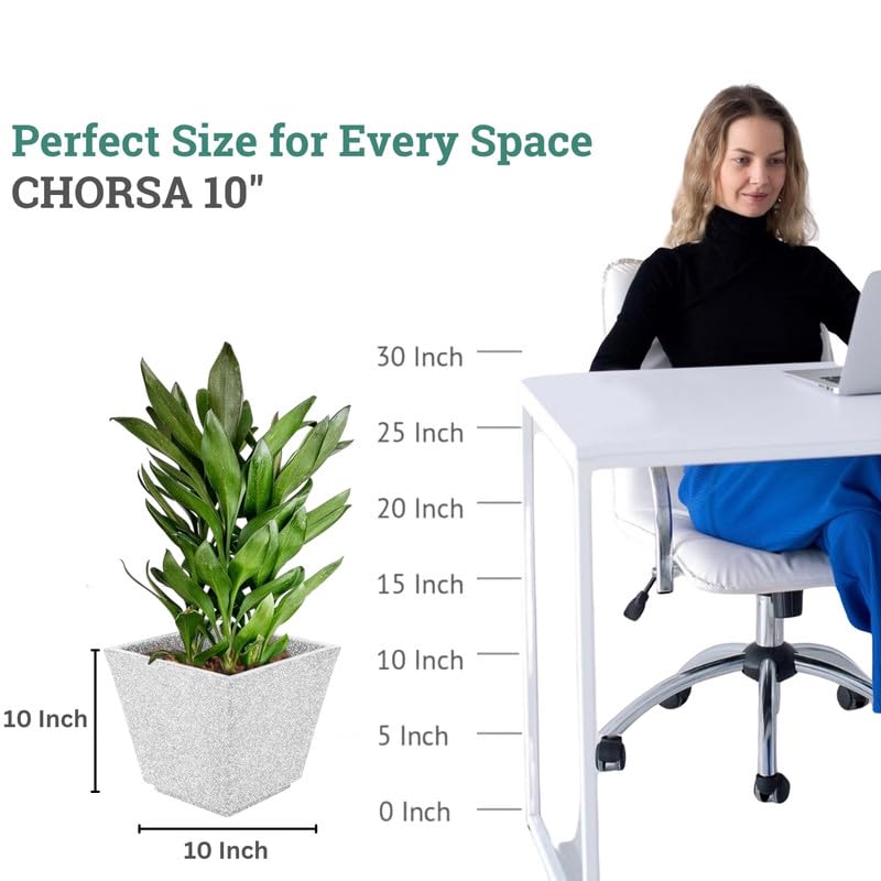 Image of Amazon Brand - Umi 10 Inch Planter Pot | Flower Pot for Indoor & Outdoor Use | Square Shape Planter Pot for Home & Office Decor Balcony & Terrace Gardens (Chorsa, White)