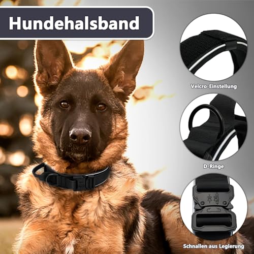 Premium Hundehalsband aus Nylon, Verstellbares Atmungsaktives Hundehalsband Weich Gepolstert, Reflektierend Halsband Hund mit Griff Halsband, 4.5 cm Breit M-XL