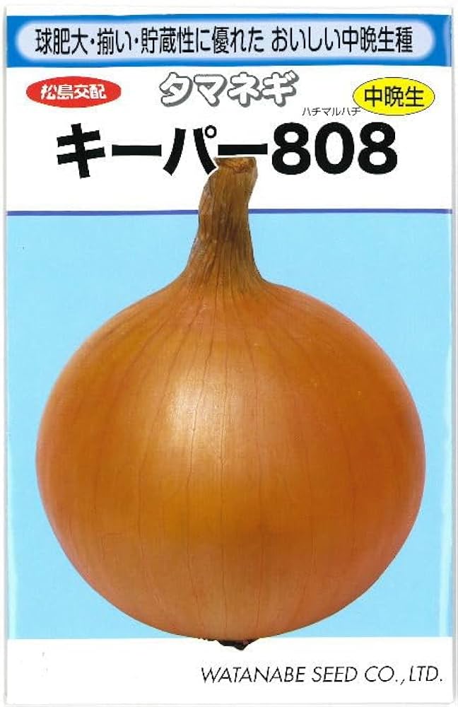 たまねぎ Amazon.co.jp: タマネギ 種子 キーパー808 2.8ml 玉ねぎ : DIY