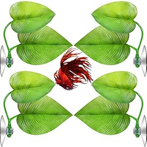 4 Pezzi Foglia di Betta Amaca per Betta Pesce, Posto di Riposo Leggero e Realistico, Nessun BPA, Pratico, Comodo e Sicuro (Doppia Foglia)