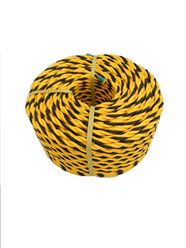 AClbg W[v g[v #9×100m