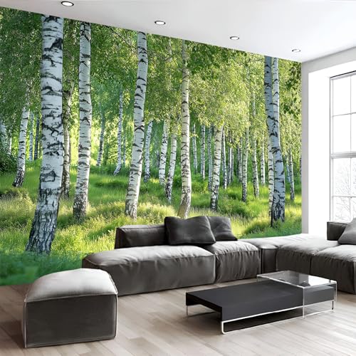 Fotomural Efecto Paisaje Natural 3D Papel Tapiz, Primavera Bosque de Abedules Papel Pintado Papel Tapiz 3D decoración de La Pared Murales, Sala de Estar Dormitorio Papel Pintado 450Anx315Al Cm