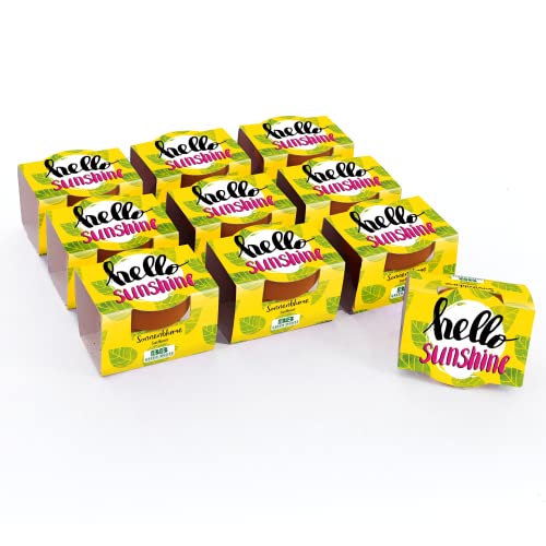 Bull & Bear 10er Set Mini Pflanzset 'hello sunshine' mit Sonnenblumen Samen im Topf 4,5cm, Zwergsonnenblumen als Anzuchtset mit Pflegeanleitung