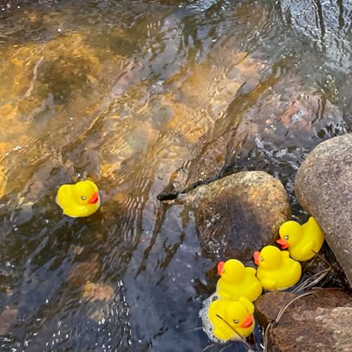Vedic Astrology Weekly Forecast May 31 - June 6