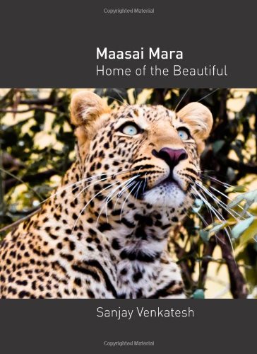 Maasai Mara - Home of the Beautiful