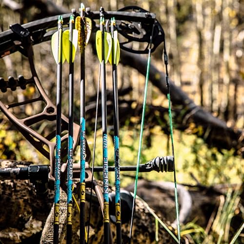 Tubes Gold Tip Cinetic KAOS Shafts par douzaine pour le tir - 6