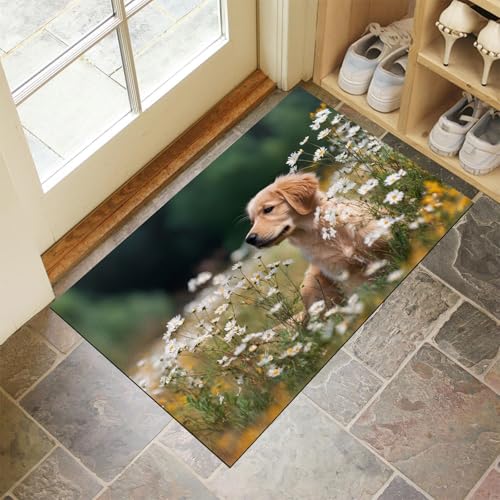 Tapis lavable antidérapant pour protéger le sol des traces de pattes - 4