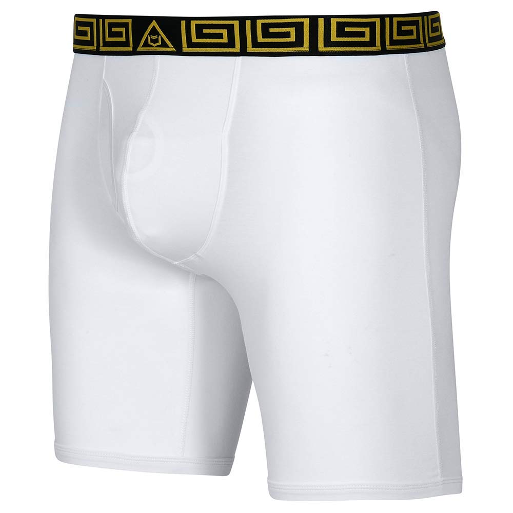 Buy SHEATH V Underwear with Dual Pouch Mens Sports Performance 8 inch