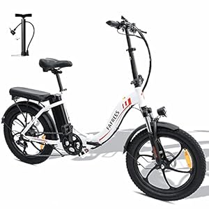 Elektrische fiets Fafrees F20 met afneembare accu, 36 V, 15 Ah, 25 km/h, vetband 20 inch x 3,0, geschikt voor sneeuw…