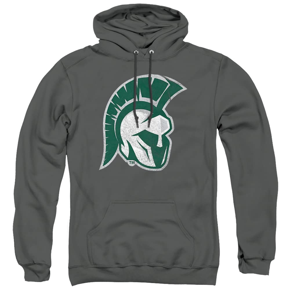 LOGOVISION Official Collegiate Distressed Primary Logo Adult Pullover Hoodie Collection — view 159