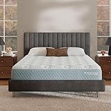 Molecule CopperWELL 13' Hybrid Cooling Gel Memory Foam and Encased Coil Medium Firm Mattress, Twin XL