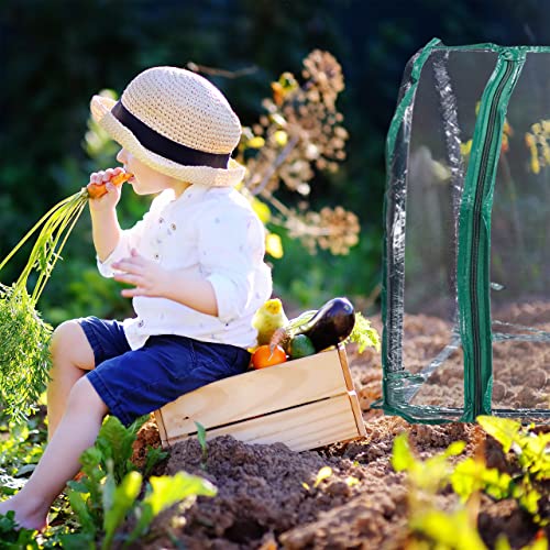 Outsunny Gewächshaus Treibhaus Tomatenhaus Frühbeet 120x60x60 cm Grün 4 Outsunny Gewächshaus Treibhaus Tomatenhaus Frühbeet 120x60x60 cm Grün – Bild 4