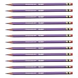 Prismacolor Col-Erase Erasable Colored Pencils, Lavender (20062), Dozen