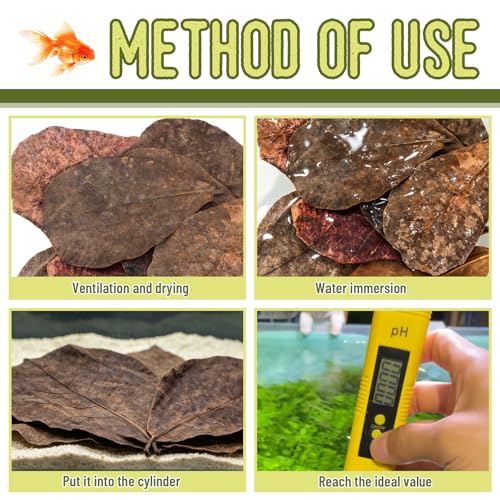Image of LeonBach 50 Pcs Large Catappa for Fish,5-8 Inch, 125g Indian Almond Leaves Creates Native Environment, Catappa Leaves Beta Fish Leaf for Aquarium Shrimp Tank Decorations Water Conditioner