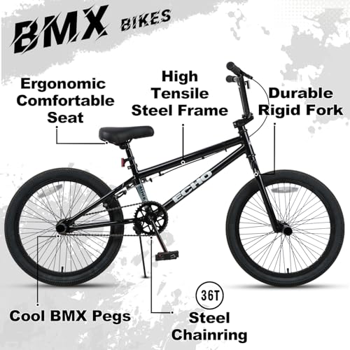 cubsala Echo 20 Inch BMX