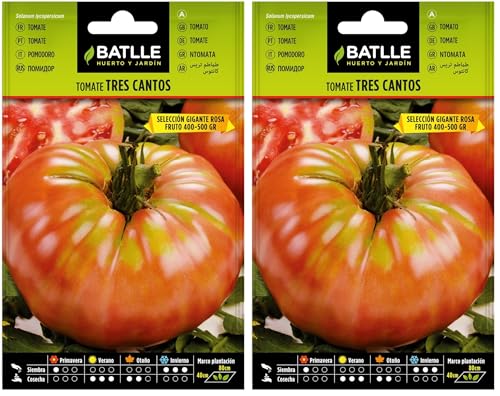Semillas Batlle Tomate 3 cantos ROSA (Paquete de 2)