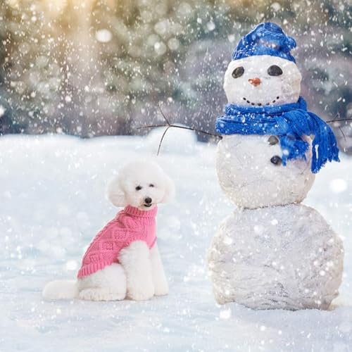 Image of BINGPET Dog Sweater for Small Medium Dogs, Turtleneck Knitted Clothes