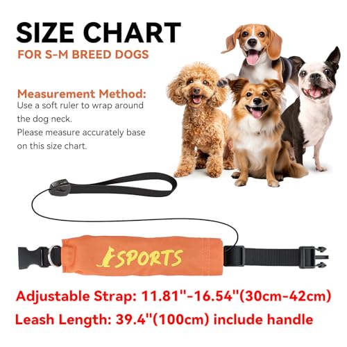Enjoying Einziehbares Hundehalsband, All-in-One-Hundehalsband, integrierte einziehbare Leine, verstellbares Halsband für kleine und mittelgroße Hunde, Orange