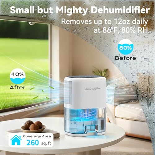 Small Dehumidifier for Home 44OZ