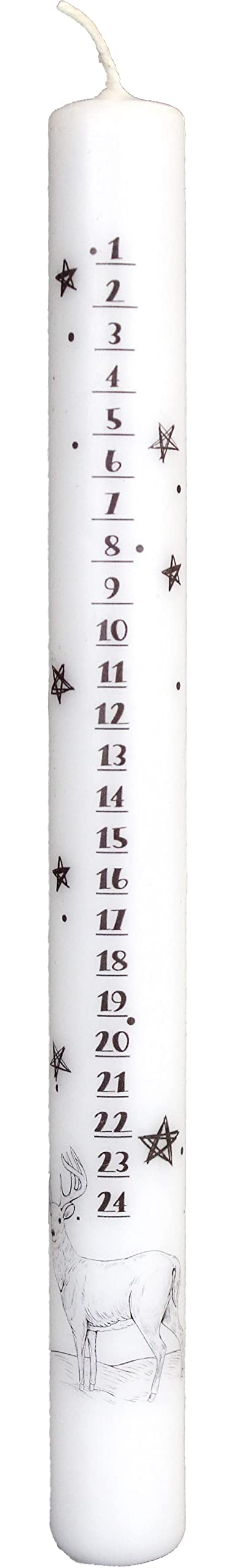 Wiedemann 10 x candele a bastoncino, calendario dell'Avvento, stampa fotografica con cervo, 250/23 mm, colore: bianco