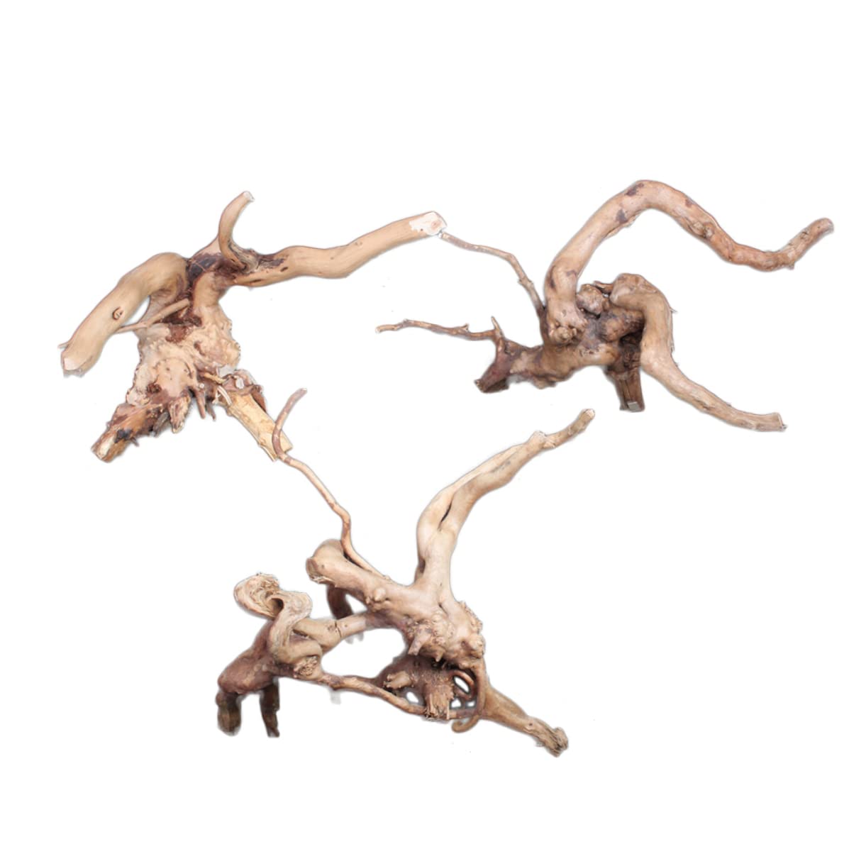 DOITOOL 2stücke Natural Wood Aquarium Ornament Miniatur Baumwurzel Für Aquarienlandschaft Für Dekoration Und Versteckmöglichkeiten Für Fische