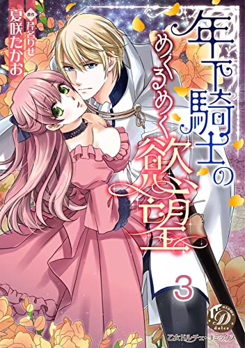 年下騎士のめくるめく慾望【分冊版】3 (乙女ドルチェ・コミックス)