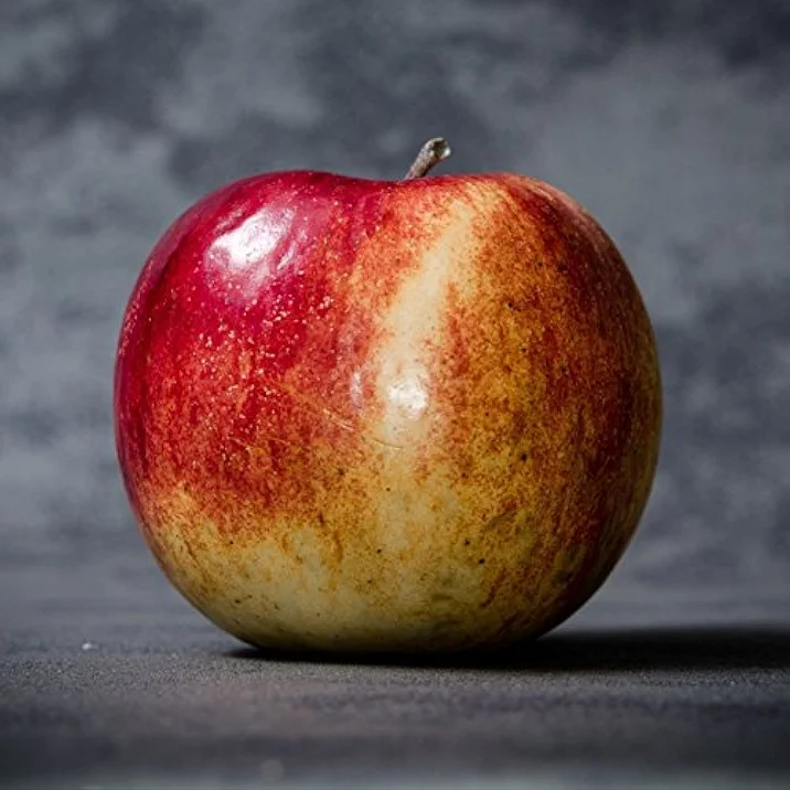 Memoria del passato ma solo se fa comodo.