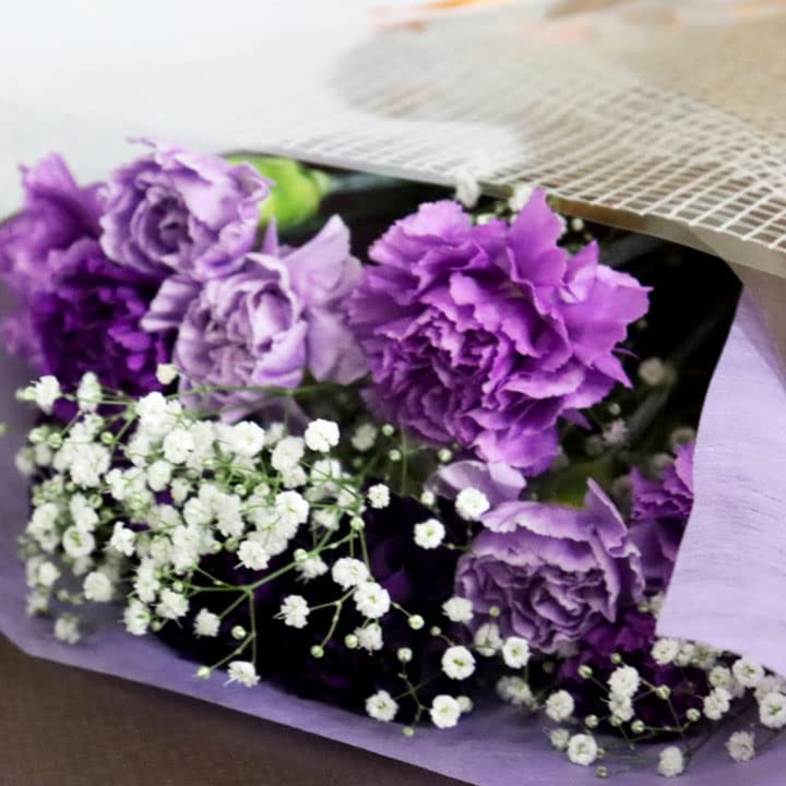 Amazon｜PURIZA 母の日限定 カーネーション 生花 花束 母の日 お祝い