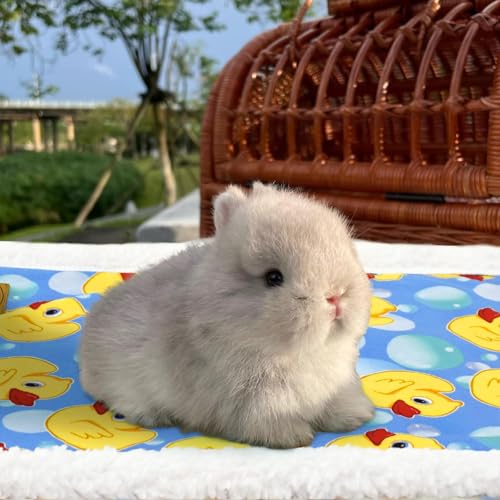 XPUDAC Tapete de cama de porquinho da índia, cobertores impermeáveis para coelho, hamster, pequenos