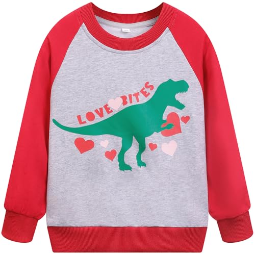 Image of Popshion Toddler Boys Sweatshirts Dinosaur Long Sleeve Pullover Crewneck Shirts Cartoon Tee Sport Tops for Kids 1-8T