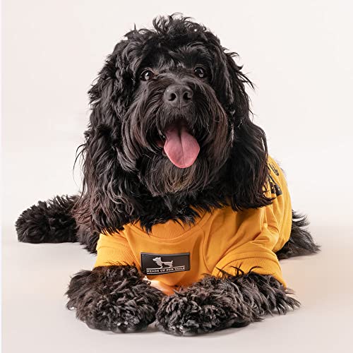 Image of Heads Up For Tails Polyester Huft Best Dog Ever Pet Sweatshirt - Yellow,1 Count