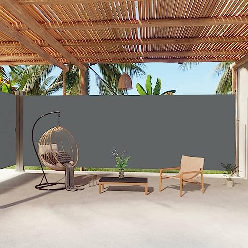 WIFESE Toldo Lateral retráctil Antracita 220x1000 cm Toldo Horizontal Exterior Toldos Cortavientos Toldos Laterales Exterior Separador Terraza Exterior Toldo para Patio Balcon Jardin