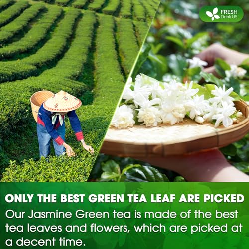 Image of FreshDrinkUS, Premium 135 Jasmine Green Tea Bags, 100% Natural & Pure from Jasmine Green Herbal Tea. Made with Natural Material Tea Bags. No Sugar, No Caffeine, No Gluten, Vegan.