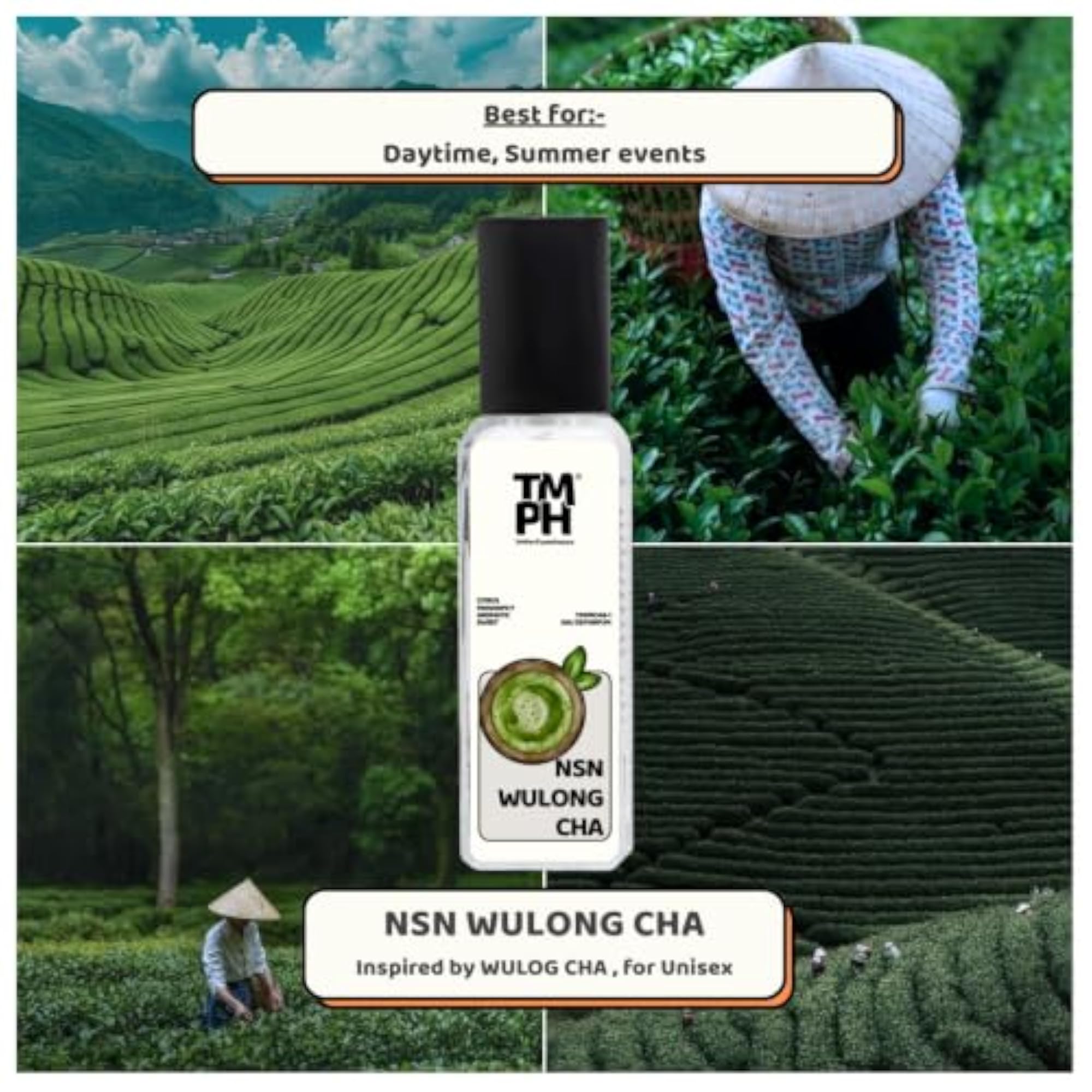 Nsn Wulong Cha EDP for Men & Women, Citrusy Fresh