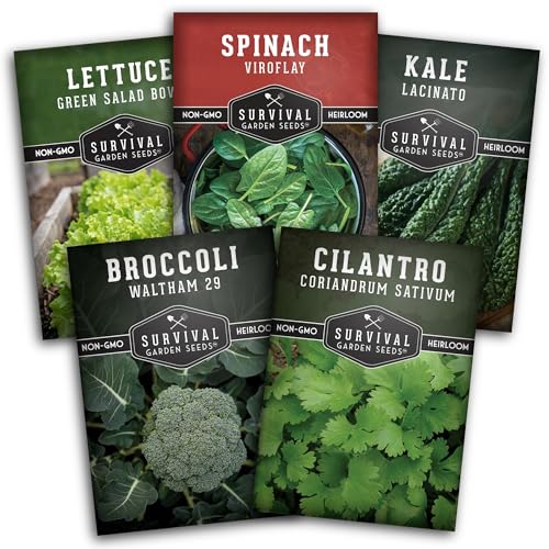 Cool Weather Garden Seeds Collection | Fall & Spring Planting – Grow Broccoli, Kale, Lettuce, Spinach & Cilantro | Cold Hardy Winter Vegetables – Survival Garden Seeds