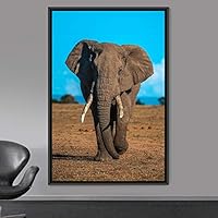 Framed Canvas Wall Art Elephants Animals Dramatic Elephants Farmhouse/Country Living Room Multicolor Photography - 16x24 inches