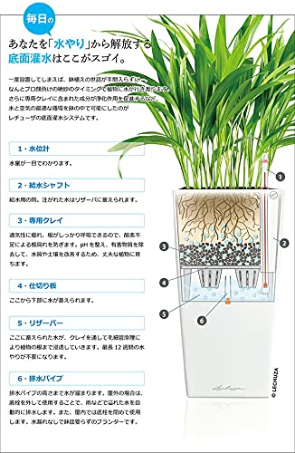 Amazon.co.jp: ドイツ製 室内でも使える底面給水型軽量プランター 