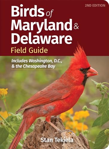 Birds of Maryland & Delaware Field Guide: Includes Washington, D.C., & the Chesapeake Bay (Bird...