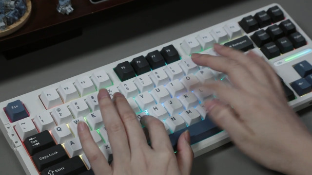 自作キーボード MTMH87 87% Keyboard E-white Amazon.com: MageGee LIGHT87 Wireless Creamy Keyboard, Gasket