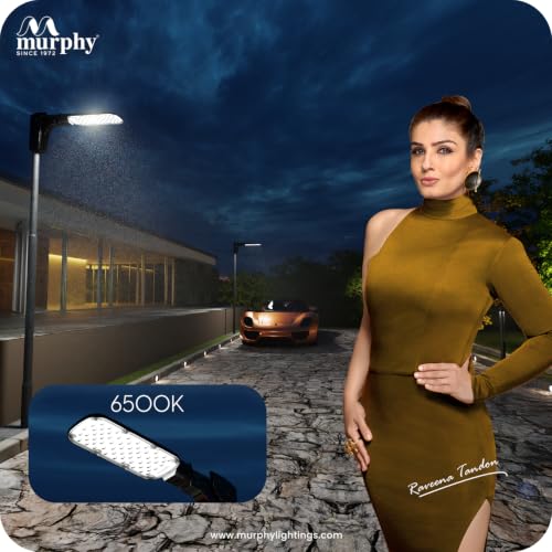 Image of Murphy Apex 20W LED Street Light | 6500K Cool White | IP68 Waterproof | 4kV Surge Protection | Outdoor Road & Pole Light | 2 Year Warranty | Pack of 1