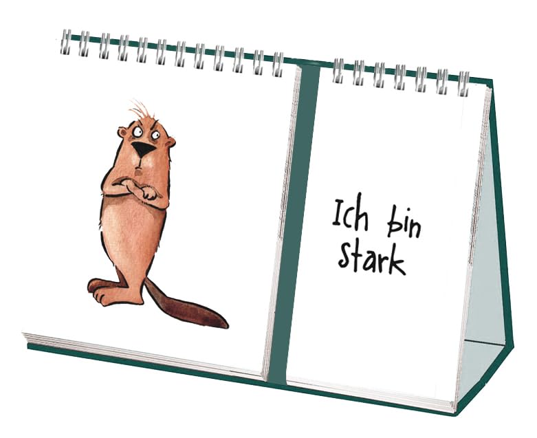 Der GEFÜHLEflip: Flip mal - Mix mal - Fühl mal