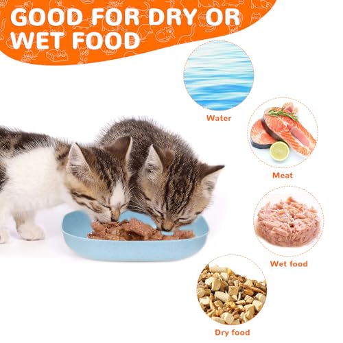 Zikenis 10 Stück Katzennapf,Katzennapf Flach,Katzenschüssel,Bunt Katzenfutter Napfset,Runden Katzenteller,Fressnapf Katze,Cat Plate für Kätzchen und Kurzbeinige Katzen