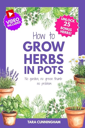 How to Grow Herbs in Pots: No Garden, no green thumb, no problem