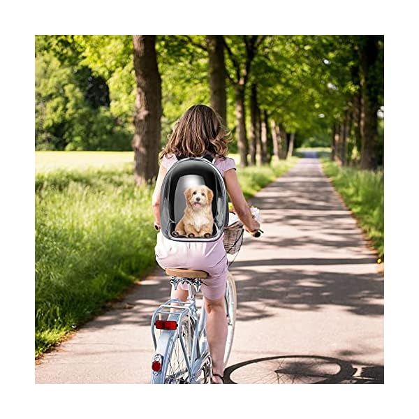 Cat-Backpack-Carrier-Airline-Approved-Pet-Carrier-Backpack-for-Traveling-Hiking-Outdoor-Pet-Backpack-or-Cat-Bag-Carrier-Cat-Carrier-Backpacks-Black Cat Backpack Carrier - Airline Approved for Traveling, Hiking, and Outdoor Adventures